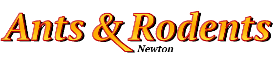 Newton Ant Exterminator & Rodent Control Company Logo